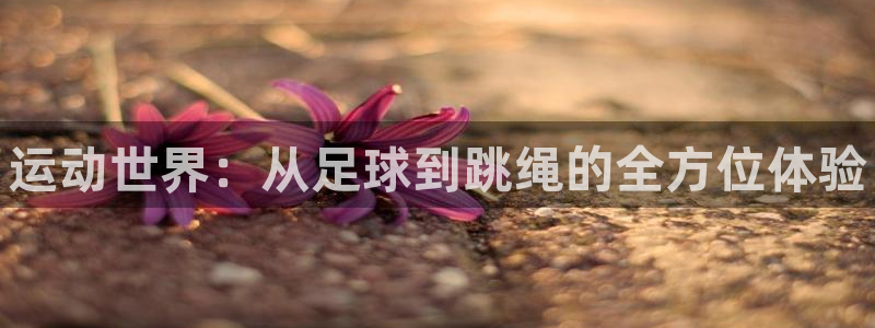 JJB竞技宝官方正版app娱乐代理怎么样:运动世界:从足球到