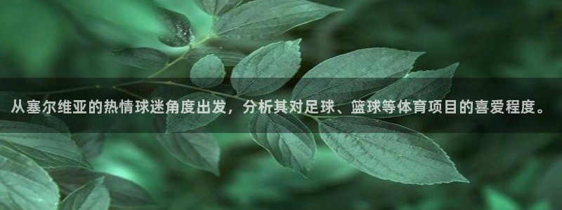 JJB竞技宝官网下载招商:从塞尔维亚的热情球迷角度出发,分析
