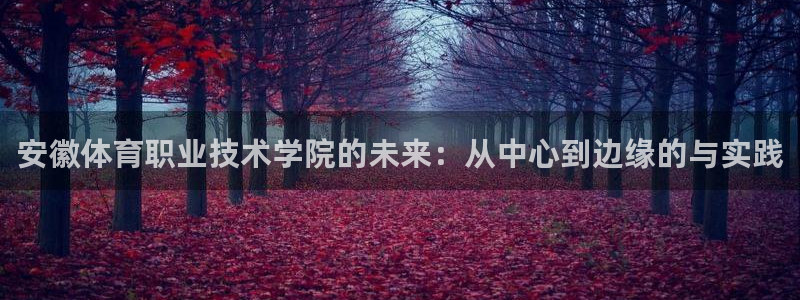 JJB竞技宝官方正版app集团官网首页:安徽体育职业技术学院