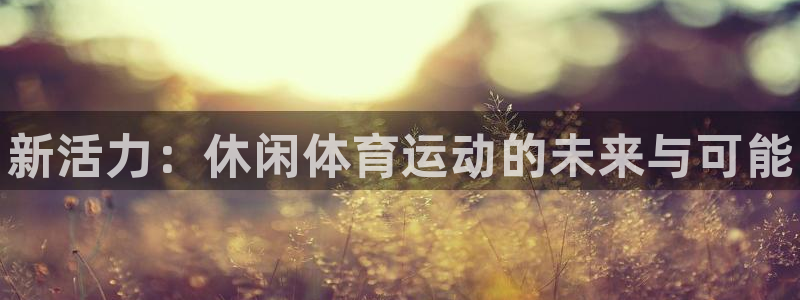 JJB竞技宝官网下载是干嘛的公司:新活力:休闲体育运动的未来