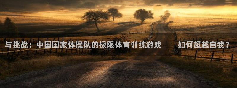 JJB竞技宝官网下载平台注册要钱吗安全吗:与挑战:中国国家体