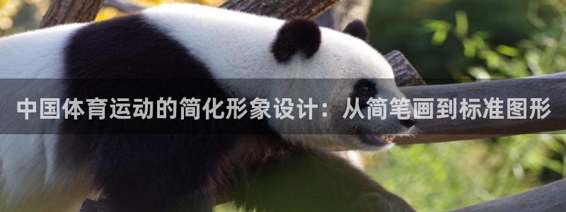 JJB竞技宝官网下载平台假的吗是真的吗:中国体育运动的简化形